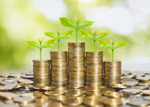 Photo of stacks of coins with seedlings on top of them, implying financial "growth"